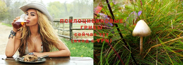 ешки Липки