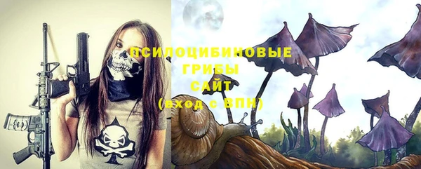 дмт Магас