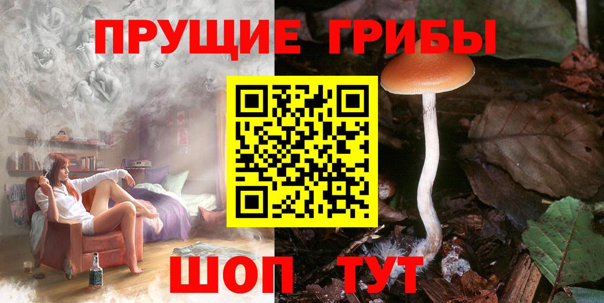 Конопля Евпатория