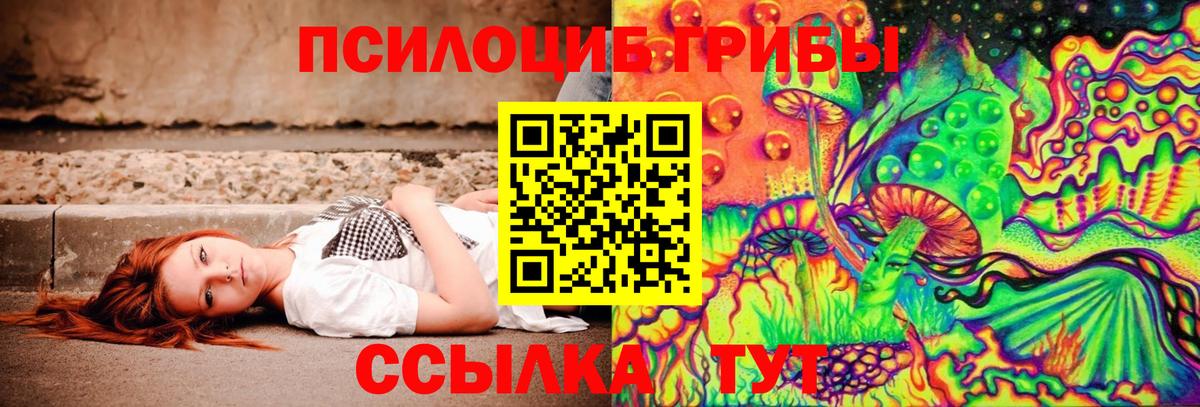 Евпатория  Галлюциногенные грибы мицелий  Вход с VPN  Галлюциногенные грибы прущие грибы 