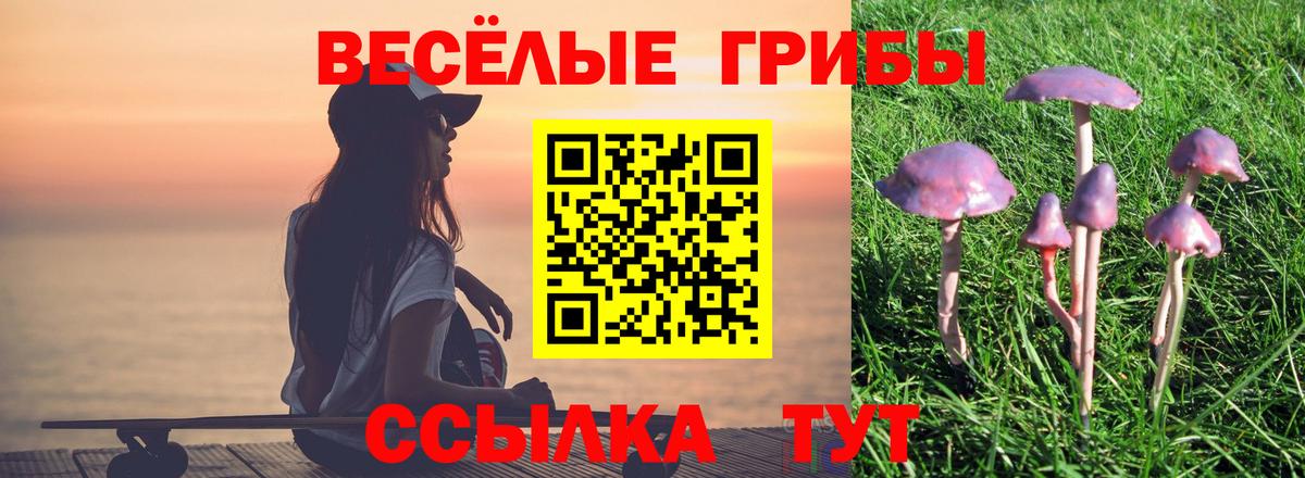 Псилоцибиновые грибы ЛСД Евпатория