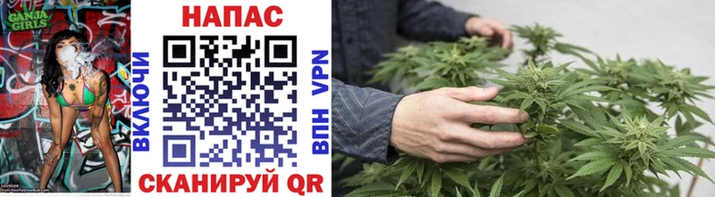 Марихуана SATIVA & INDICA  Евпатория 